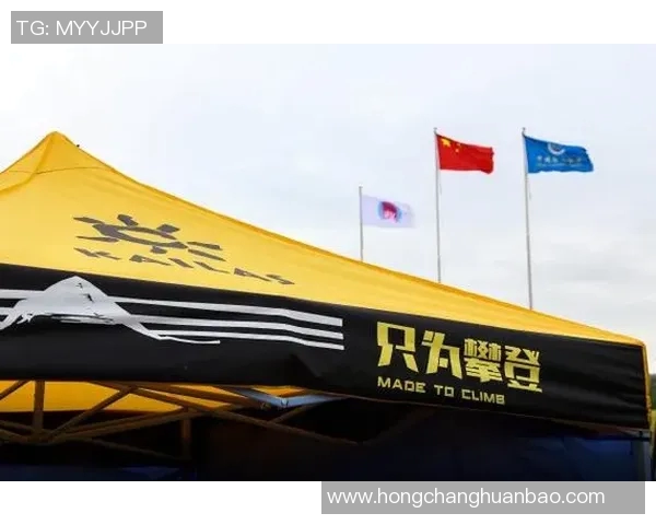 运动数据南京攀岩队运营策略深度分析与发展前景展望